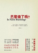 巴黎烧了吗？
